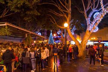  Telde brilla por Navidad (Reportaje gráfico de Antonio Rico y Antonio Alí)